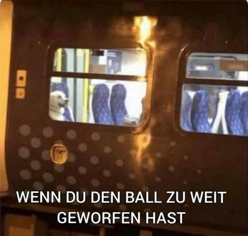 titel beschreibung
